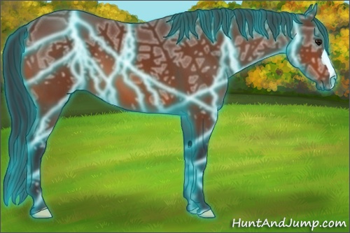 Horse Color: Thunderstruck Bay Ice 