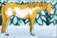Horse Color:Gray Watercolor Chestnut Frame 