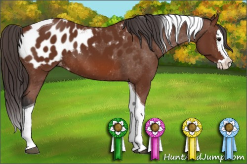 Horse Color: Bay Splash Tobiano Blanket 