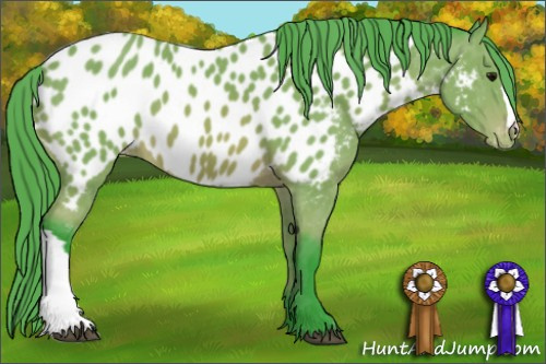 Horse Color: Watercolor Bay Near Leopard 