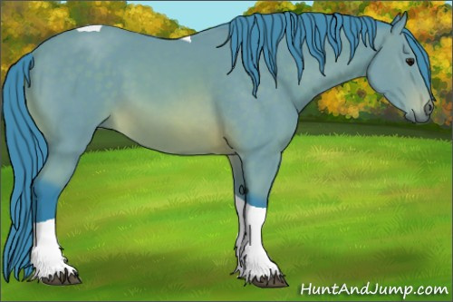 Horse Color: Watercolor Buckskin Tobiano 