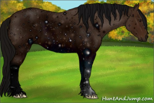 Horse Color: ERROR: UNKNOWN ANOMALY