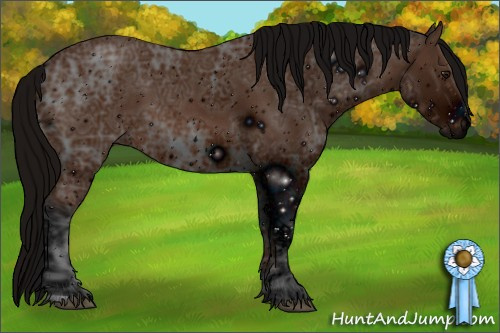 Horse Color: ERROR: UNKNOWN ANOMALY