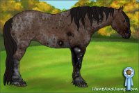 Horse Color:ERROR: UNKNOWN ANOMALY