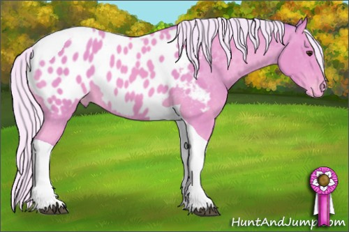 Horse Color: Watercolor Silver Buckskin Tobiano Near Leopard 