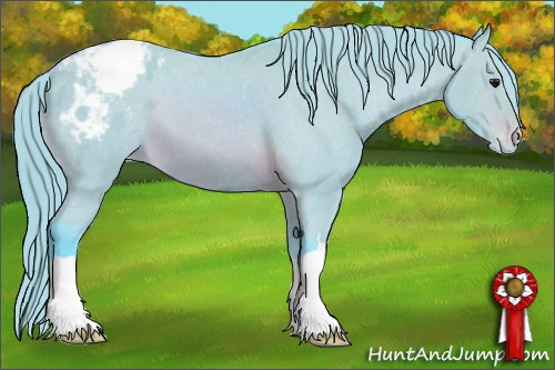 Horse Color: Watercolor Buckskin Blanket 