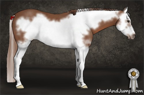 Horse Color: White Spotted Liver Chestnut Splash Frame 