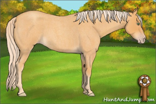 Horse Color: Gold Cream Champagne Roan 