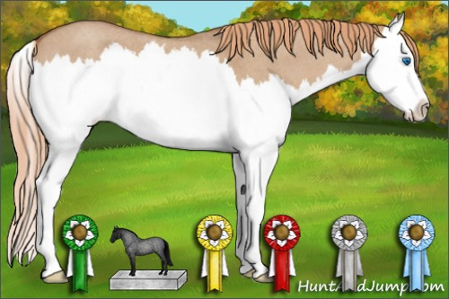 Horse Color: Red Dun Roan Splash 