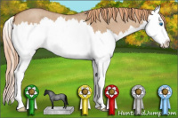 Horse Color:Red Dun Roan Splash 