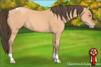 Horse Color:Amber Champagne Tobiano