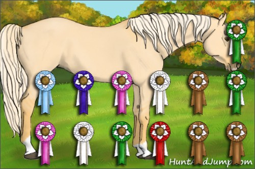 Horse Color: Palomino Dun Sabino 