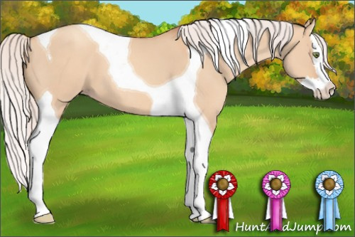 Horse Color: Silver Amber Champagne Dun Splash Tobiano 