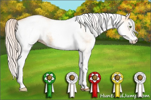 Horse Color: White Spotted Silver Amber Champagne Dun 