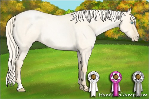 Horse Color: Palomino Roan Pearl Dun 