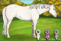 Horse Color:Palomino Roan Pearl Dun 