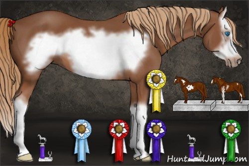 Horse Color: Liver Chestnut Sabino Splash Frame 