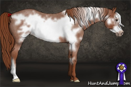 Horse Color: Liver Red Roan Frame 