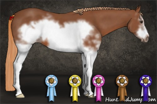 Horse Color: White Spotted Liver Chestnut Frame 