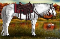 Horse Color:White Spotted Blue Roan Splash Frame Varnish 