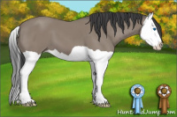 Horse Color:Brown Splash 