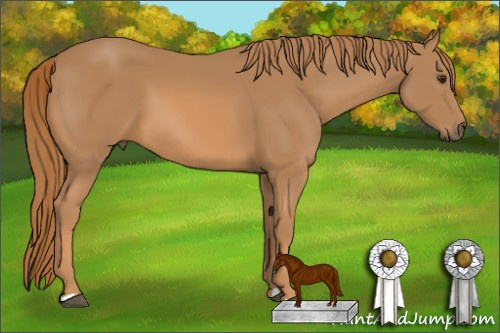 Horse Color: Chestnut 