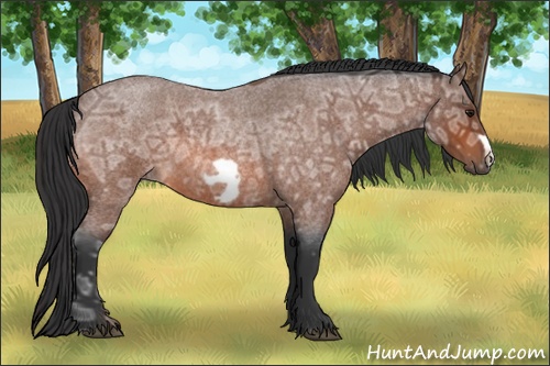 Horse Color: Bay Ice Roan Frame 