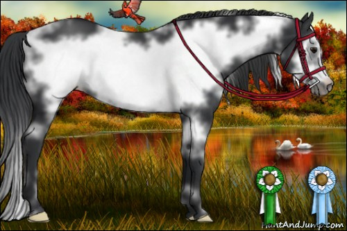 Horse Color: White Spotted Black Frame 