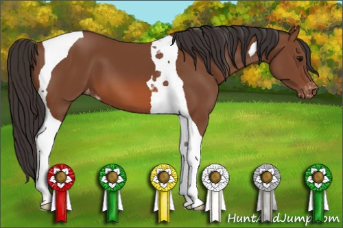 Horse Color: Bay Tobiano Varnish 