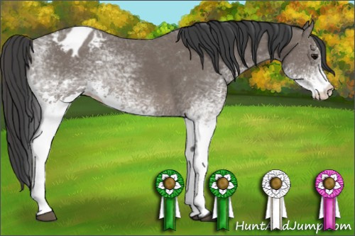 Horse Color: White Spotted Black Varnish 
