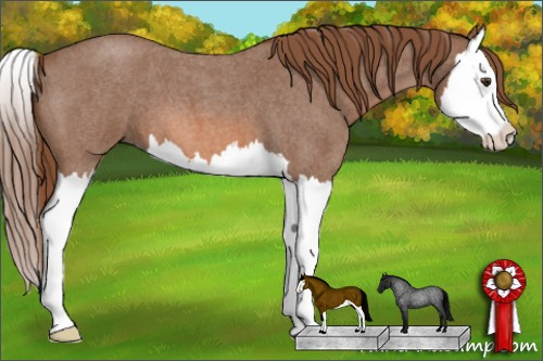 Horse Color: Liver Red Roan Splash 