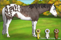 Horse Color:Brown Splash Frame Appaloosa Rabicano