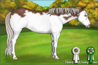 Horse Color:Silver Brown Splash Frame Rabicano