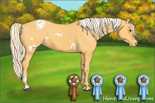 Horse Color: White Spotted Palomino Blanket 