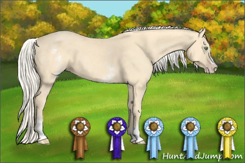 Horse Color: White Spotted Gold Cream Champagne Splash 