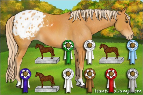 Horse Color: Palomino Blanket 