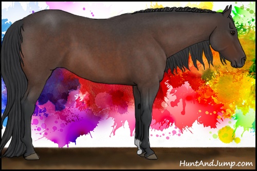 Horse Color: Bay Roan 