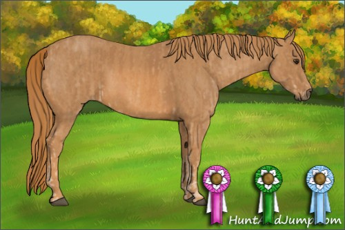 Horse Color: Chestnut  Brindle
