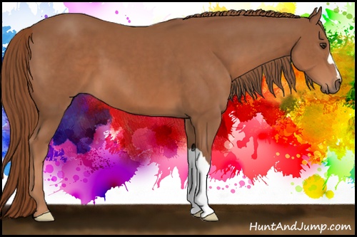 Horse Color: Chestnut 
