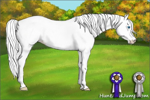Horse Color: Perlino Splash Near Leopard 