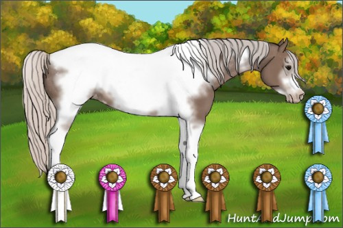 Horse Color: Silver Black Sabino Tobiano Frame Blanket 