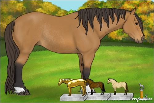 Horse Color: Buckskin Rabicano 