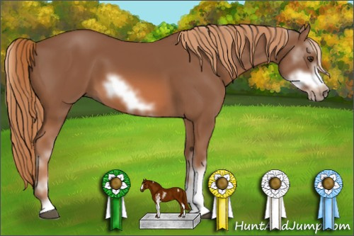 Horse Color: Liver Chestnut Sabino Frame 