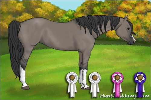 Horse Color: Grullo 