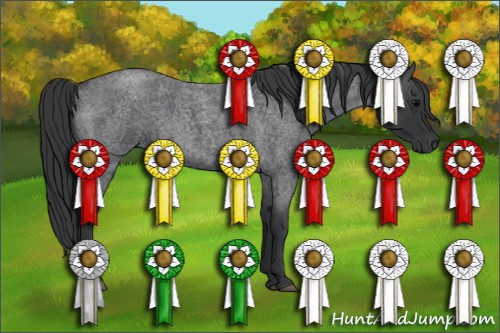 Horse Color: Blue Roan 