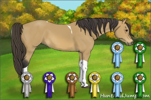 Horse Color: Buckskin Tobiano 