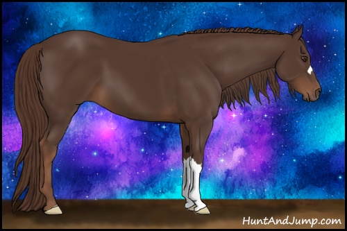 Horse Color: Liver Chestnut 