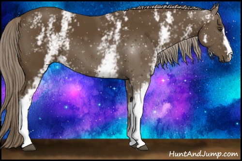 Horse Color: White Spotted Chocolate Palomino 