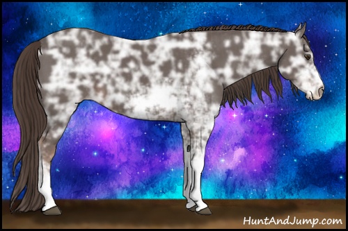 Horse Color: Liver Chestnut Ice Sabino 