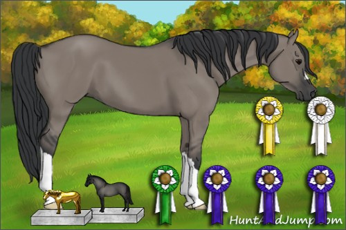 Horse Color: Grullo 